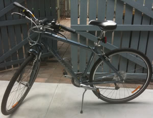 Ferrago Giant bicycle